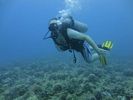 Hawaii Scuba divng 64