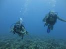 Hawaii Scuba divng 65