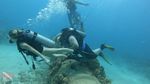 Waikiki scuba 02