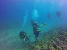 Hawaii Scuba divng 10