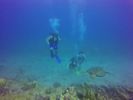 Hawaii Scuba divng 12