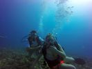 Hawaii Scuba divng 15