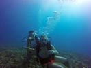 Hawaii Scuba divng 16