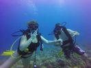 Hawaii Scuba divng 17