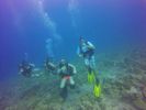 Hawaii Scuba divng 23