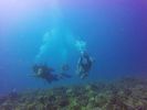 Hawaii Scuba divng 24