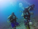 Hawaii Scuba divng 27