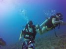 Hawaii Scuba divng 29