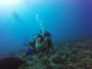 Hawaii Scuba divng 02