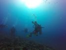 Hawaii Scuba divng 36