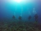 Hawaii Scuba divng 37