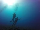 Hawaii Scuba divng 38