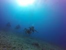 Hawaii Scuba divng 39