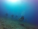 Hawaii Scuba divng 40