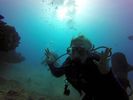 Hawaii Scuba divng 45