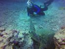 Hawaii Scuba divng 49