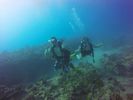 Hawaii Scuba divng 53