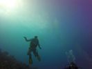 Hawaii Scuba divng 56