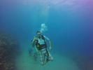 Hawaii Scuba divng 57