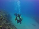 Hawaii Scuba divng 59