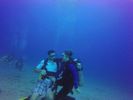 Hawaii Scuba divng 67