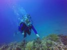 Hawaii Scuba divng 69