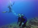 Hawaii Scuba divng 72