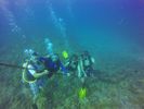 Hawaii Scuba divng 74