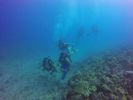 Hawaii Scuba divng 09