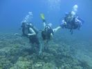 Hawaii Scuba divng 11