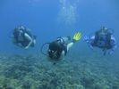 Hawaii Scuba divng 12