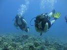 Hawaii Scuba divng 13