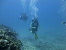 Hawaii Scuba divng 15