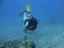 Hawaii Scuba divng 16