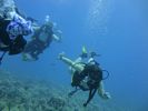 Hawaii Scuba divng 18