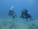 Hawaii Scuba divng 30