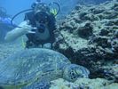 Hawaii Scuba divng 39