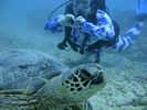 Hawaii Scuba divng 41