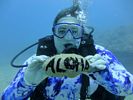 Hawaii Scuba divng 42