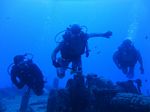 Hawaii Scuba divng 14