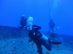 Hawaii Scuba divng 28