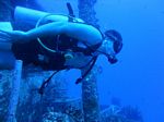 Hawaii Scuba divng 32