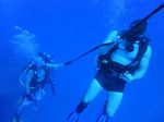 Hawaii Scuba divng 36