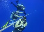 Hawaii Scuba divng 37