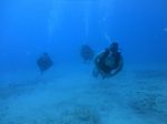 Hawaii Scuba divng 45