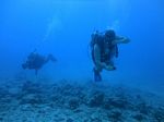 Hawaii Scuba divng 49