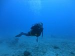 Hawaii Scuba divng 51