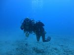 Hawaii Scuba divng 52