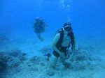 Hawaii Scuba divng 68
