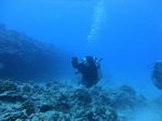 Hawaii Scuba divng 69